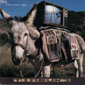 Greetings from Timbuk 3